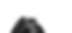Closeup of a Black Dog